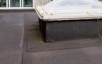 disadvantages of High Bray flat roofs