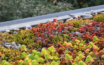 the cost of High Bray green roof installation