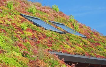 High Bray living roof systems