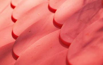 High Bray plastic roof costs