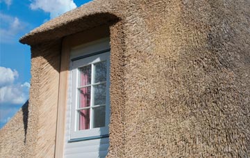 High Bray thatch roof disadvantages