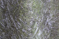 High Bray fibreglass roof work